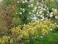 2012-0408_1325_Spring_11,8C